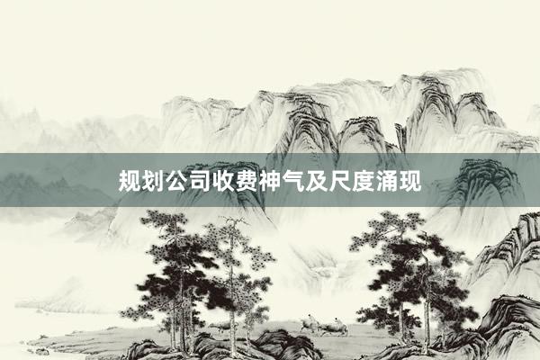 规划公司收费神气及尺度涌现